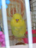 DSCN9356.JPG