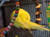 DSCN9447.JPG