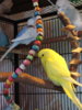 DSCN9459.JPG