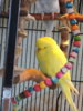 DSCN9463.JPG