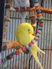 DSCN9464.JPG