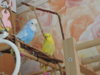 DSCN9493.JPG