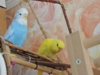 DSCN9496.JPG