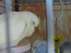 DSCN9358.JPG