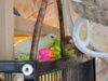 DSCN9422.JPG