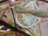 DSCN9429.JPG