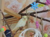 DSCN9473.JPG