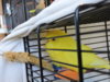 DSCN9359.JPG