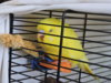 DSCN9388.JPG