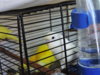 DSCN9381.JPG