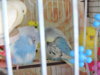 DSCN9349.JPG