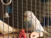 DSCN9339.JPG