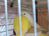 DSCN9396.JPG