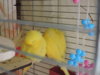 DSCN9408.JPG