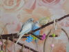 DSCN9483.JPG