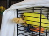 DSCN9389.JPG