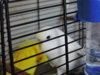 DSCN9387.JPG
