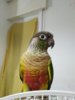 IMG_20200416_220600.jpg