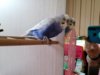 изображение_viber_2020-06-10_11-05-32.jpg