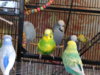 DSCN9497.JPG