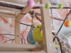 DSCN9500.JPG