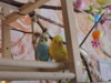 DSCN9501.JPG
