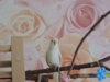 DSCN9507.JPG