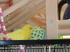 DSCN9511.JPG