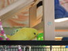 DSCN9513.JPG