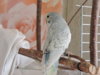 DSCN9514.JPG