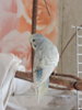 DSCN9520.JPG