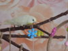 DSCN9521.JPG