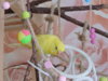DSCN9522.JPG