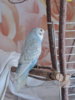 DSCN9524.JPG