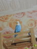 DSCN9530.JPG