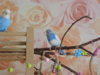 DSCN9532.JPG
