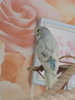 DSCN9533.JPG