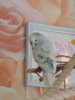 DSCN9534.JPG