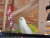 DSCN9536.JPG