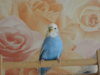 DSCN9537.JPG