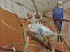 DSCN9538.JPG