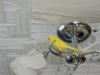 DSCN9539.JPG