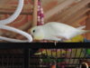 DSCN9542.JPG