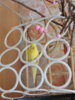 DSCN9544.JPG