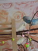 DSCN9546.JPG