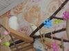 DSCN9560.JPG