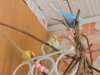 DSCN9566.JPG