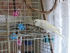 DSCN9570.JPG