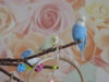 DSCN9572.JPG