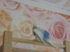 DSCN9574.JPG